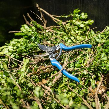 Garden pruning shears resting on freshly cut green branches and twigs.