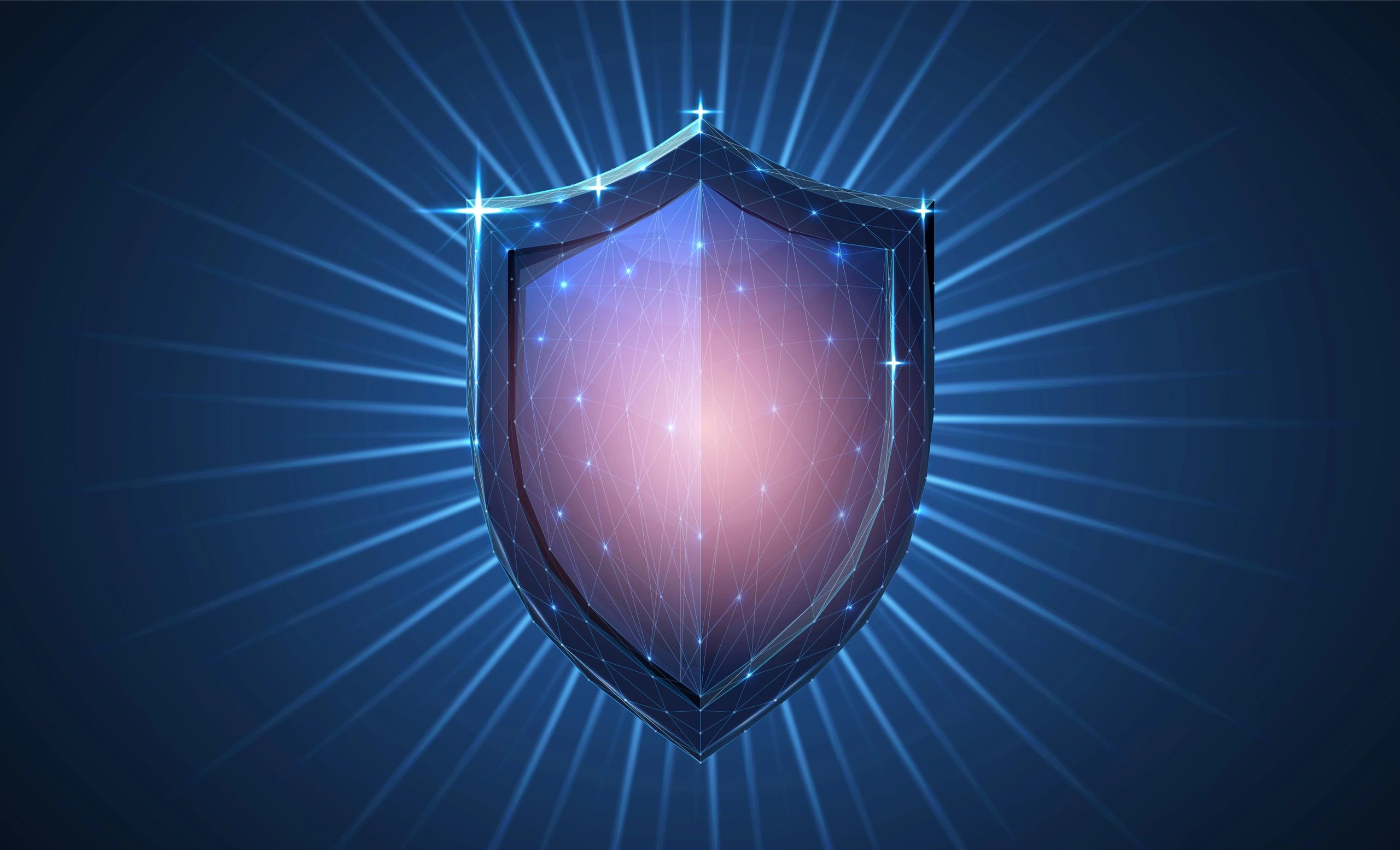 a shield