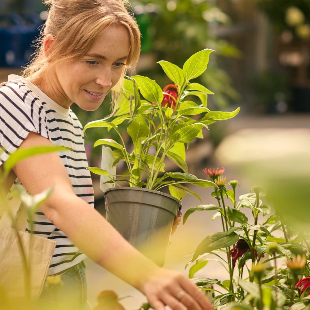 Woman enjoying shopping for plants in a garden center.