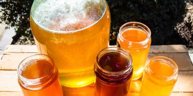 Varias jarras y frascos con diferentes tonos de miel.