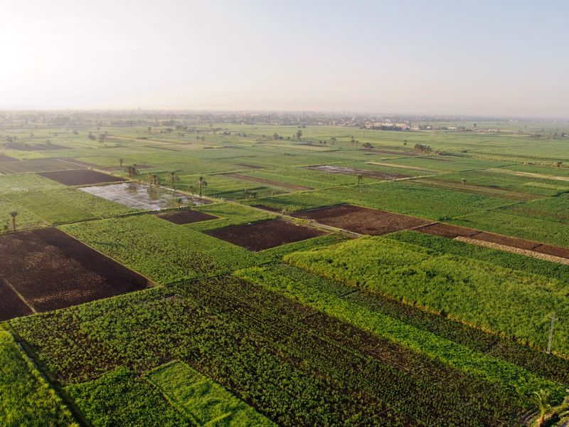 Aerial view of agricultural land around the city Luxor in Egypt.