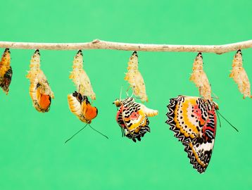 - Experienced, qualified SC
- navigate complex parts of the NDIS like plan changes & appeals