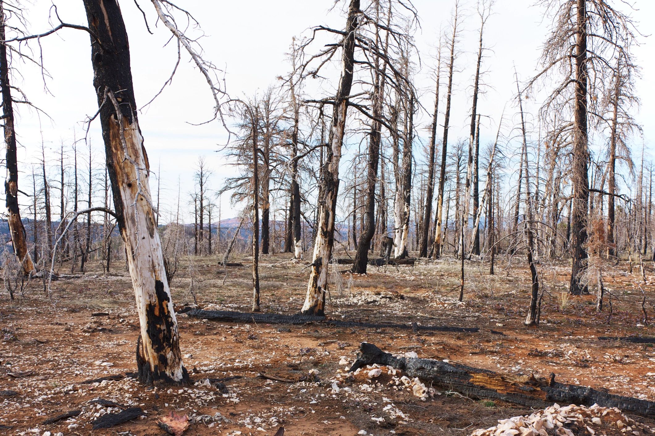 Fire safety and outdoor burn practices
