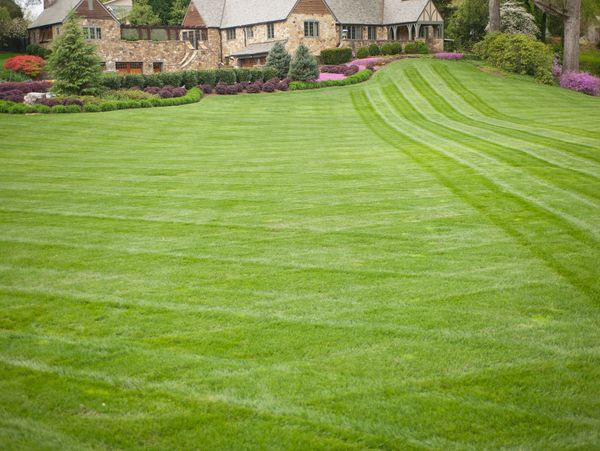 A large, well-manicured lawn in front of a stone house with colorful shrubs.