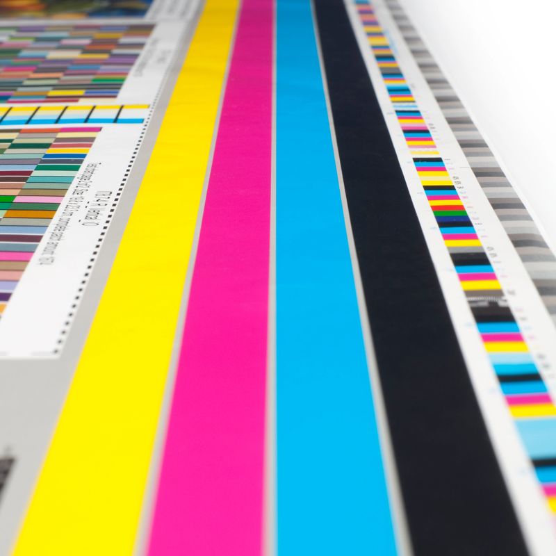 typographical body stripe and coloured scale