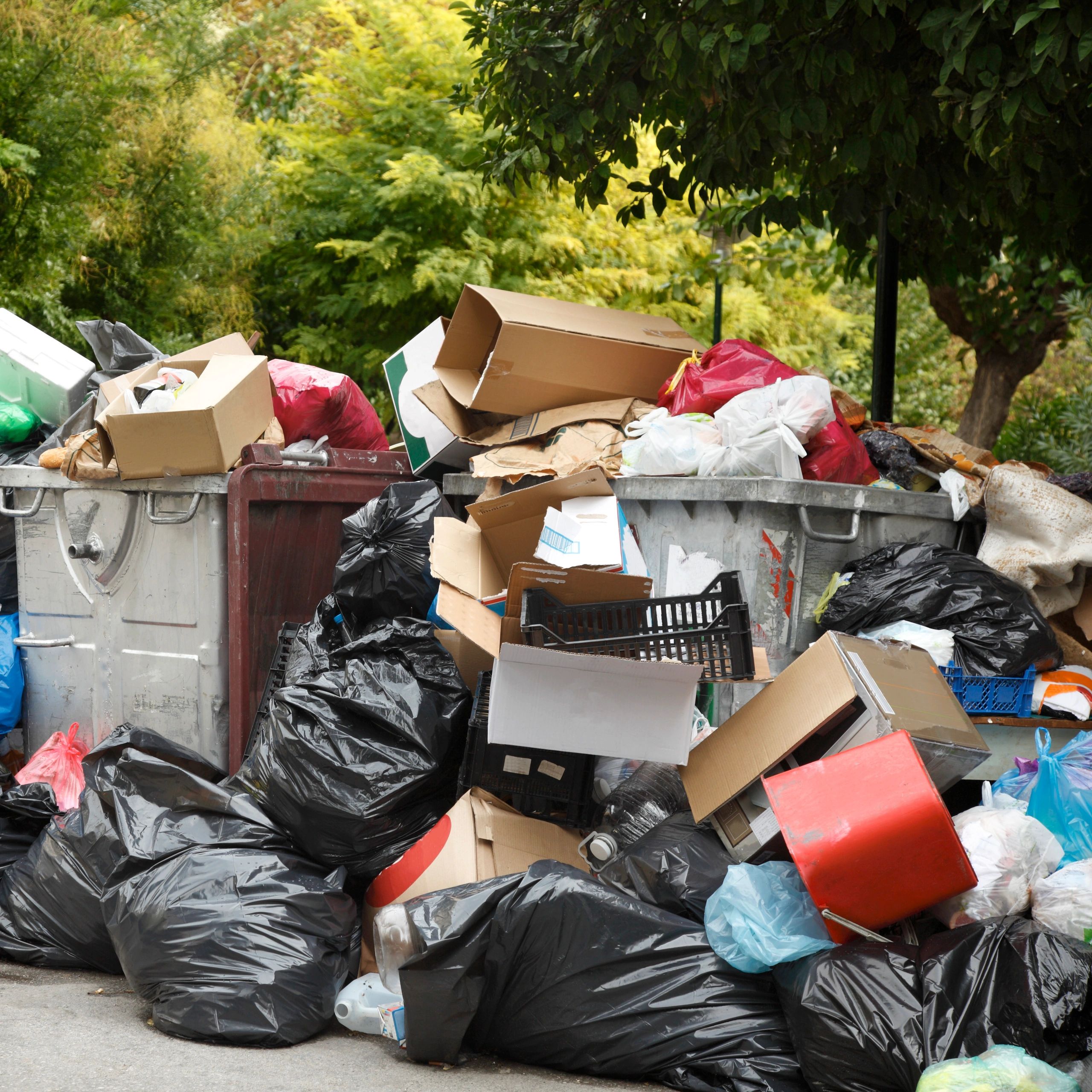 Cheap & Efficient Junk Removal in Mercier