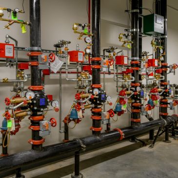 Complex array of industrial pipes and valves in a facility.