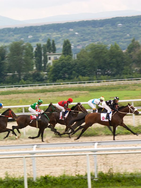 thoroughbreds racing