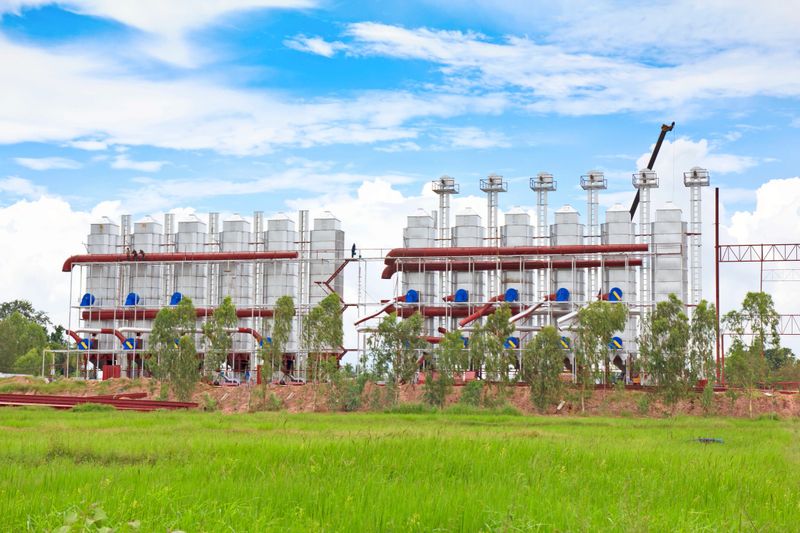 Rice mill process production line in thailand