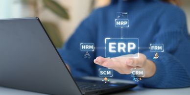 ERP system administrator support services