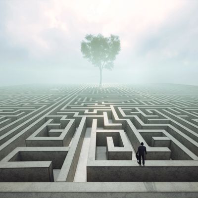 A man stands at the entrance of a maze with a distant tree at its center under a cloudy sky.