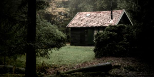 Small cabin in a dense forest area.
