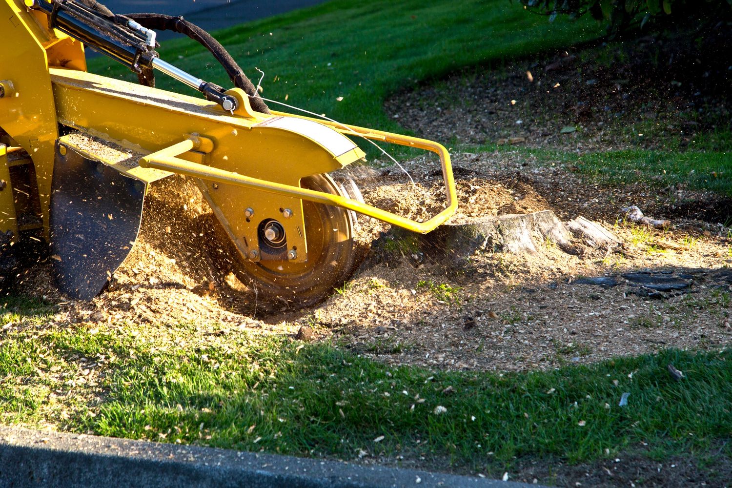 A yellow stump grinder removing a tree stump from the ground.