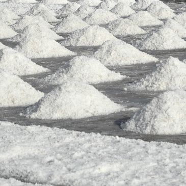 Rows of white salt piles drying under the sun on a salt farm.