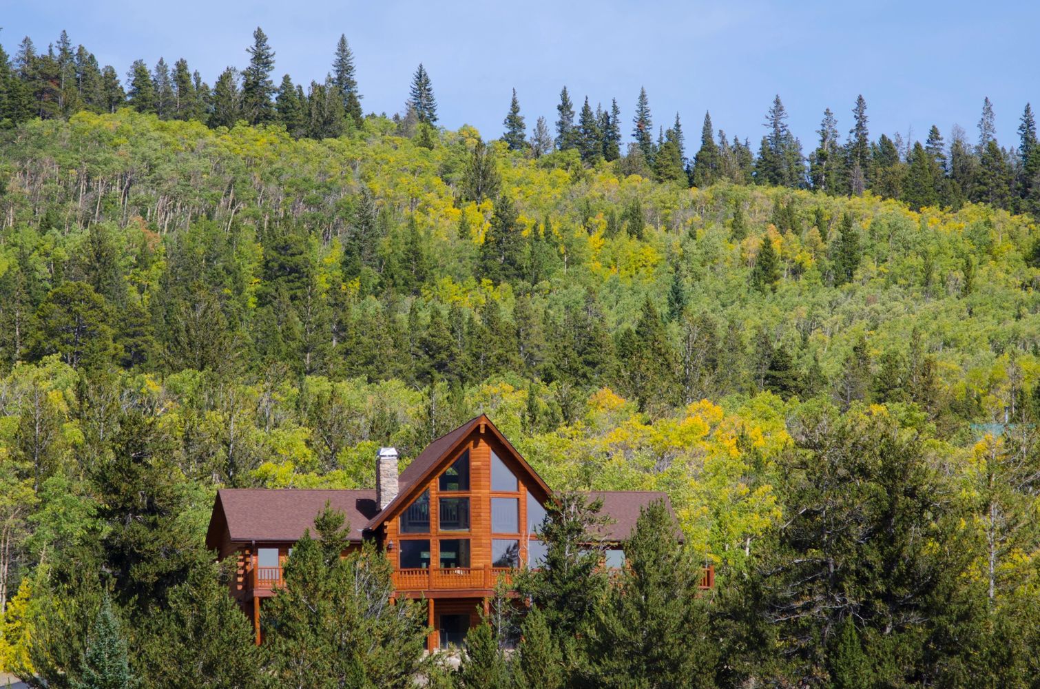 Cozy wooden cabin nestled in a lush forested hillside with vibrant greenery.