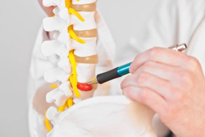 Hand pointing to a spot on a spine model.