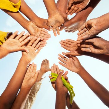 Group of hands reaching towards the sky, one holding green pods.