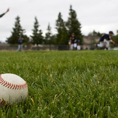 Baseball on grass with players in the background.