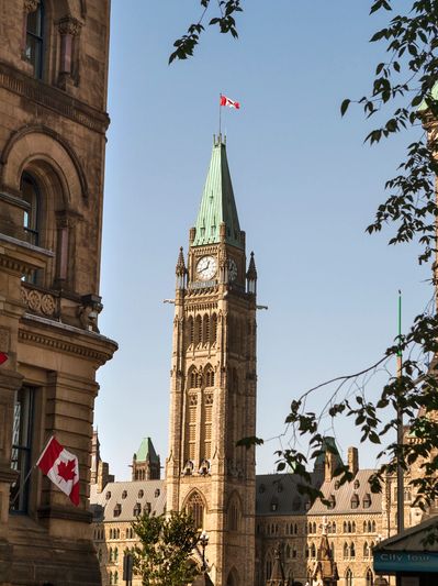 Collection agency specializing in commercial & consumer debt recovery, credit bureau reporting.