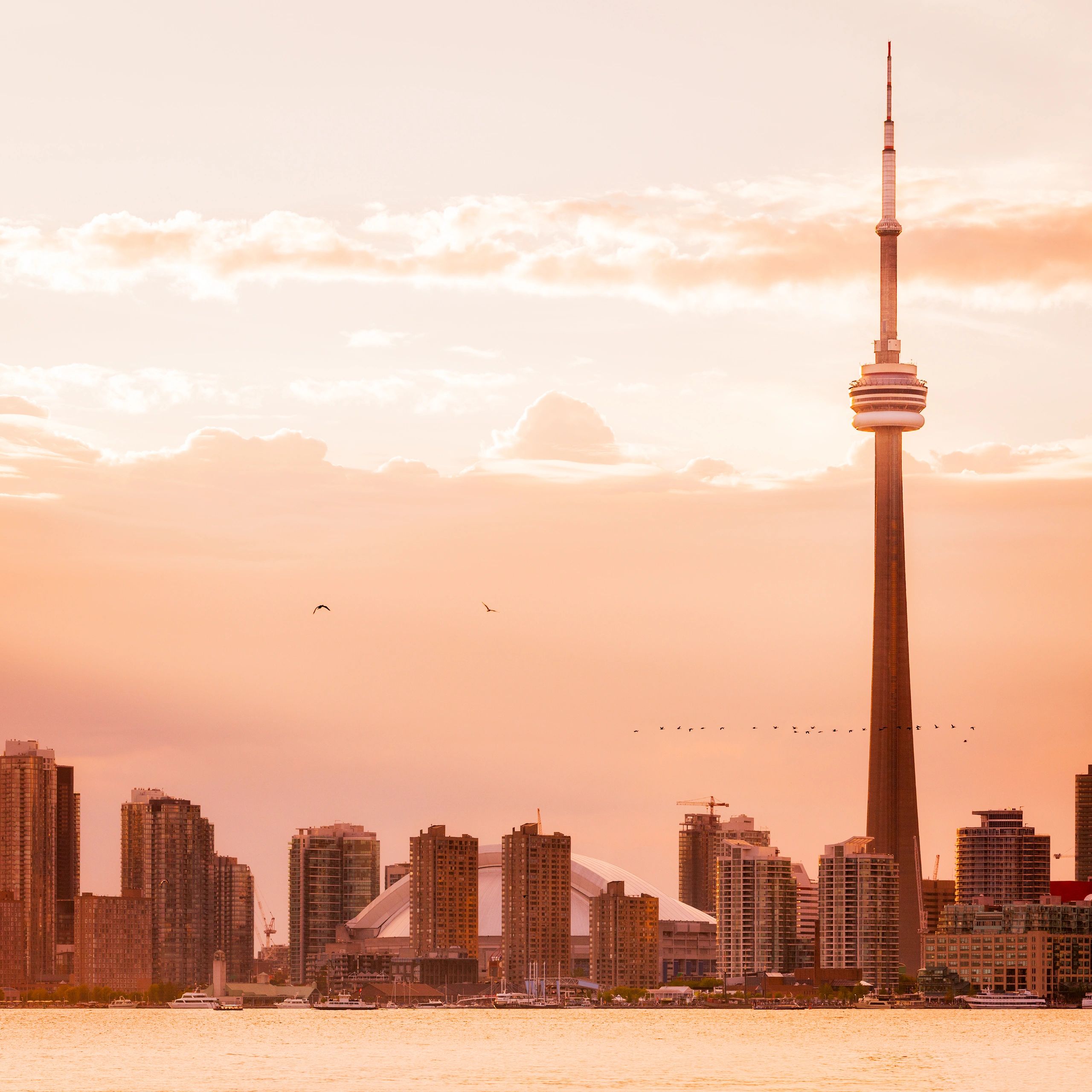 Toronto with the CN Tower by dusk