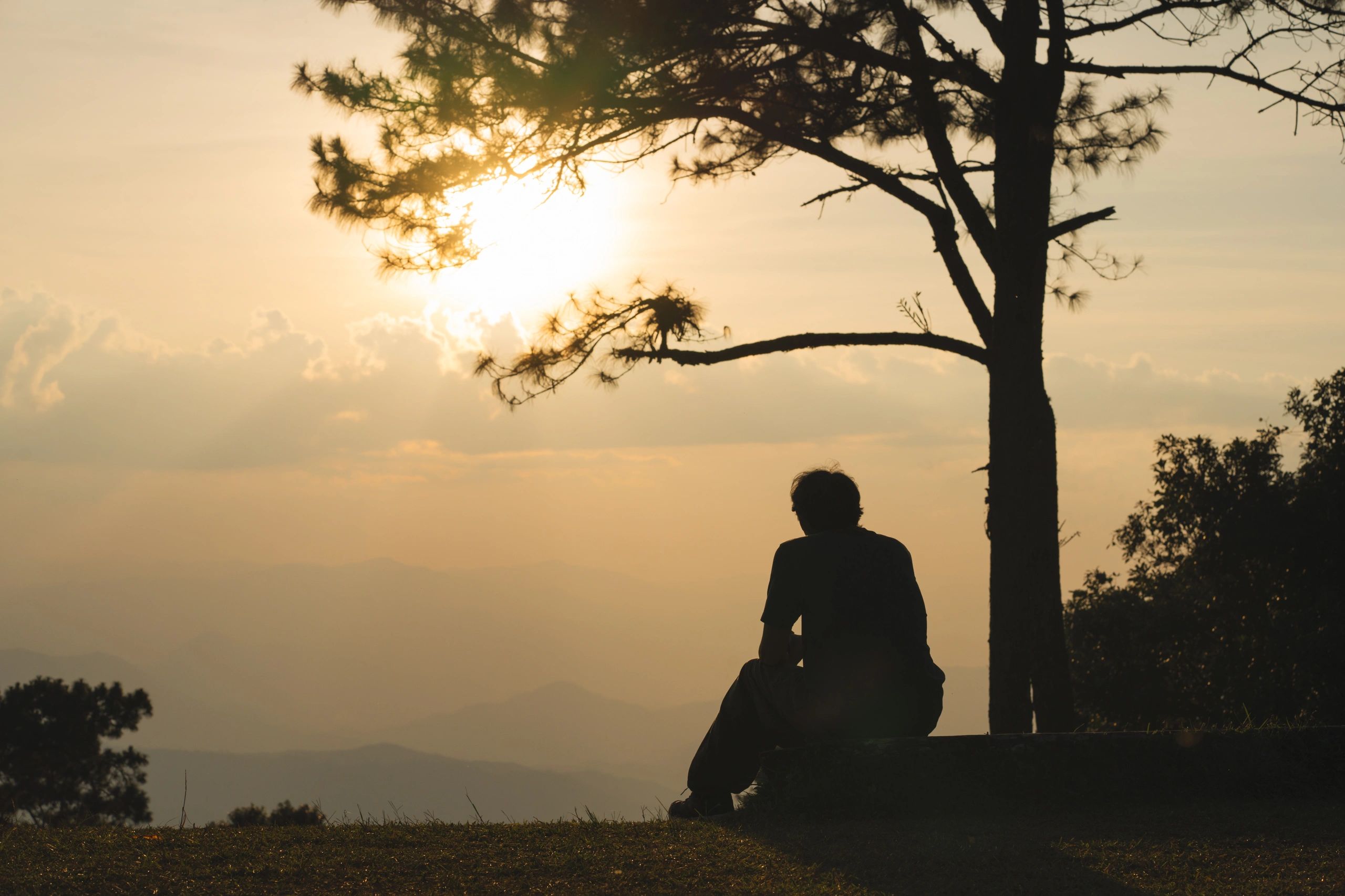 Person sitting alone watching sunset behind a tree.