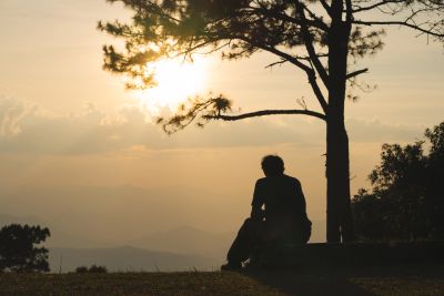 Person sitting alone at sunset by a tree.