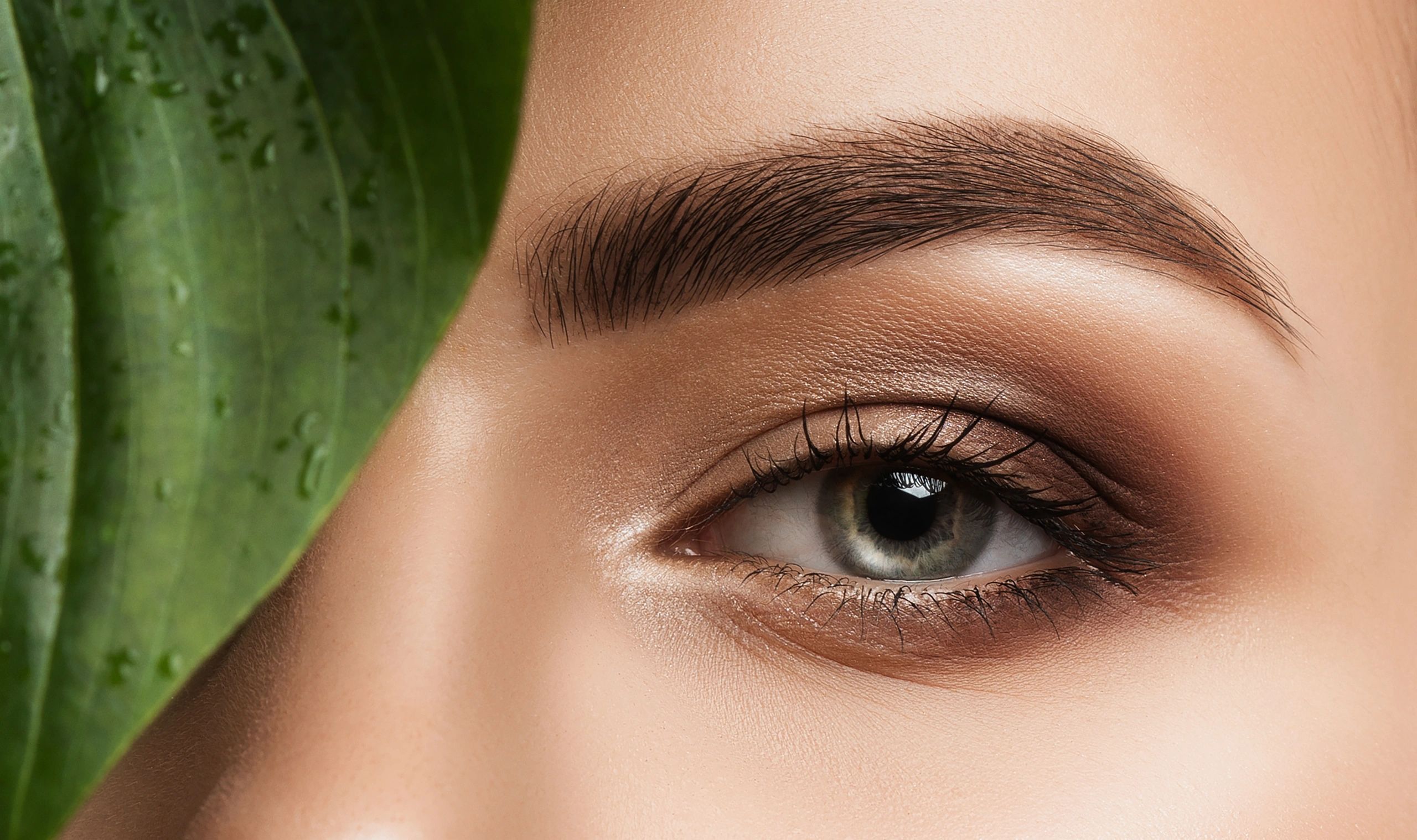 Close-up of a well-groomed eye with natural makeup and a green leaf beside it.