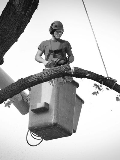 Tree service worker in a bucket truck safely cutting a heavy tree limb during a removal.
