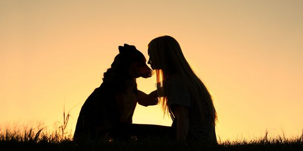 A silhouette of a woman gently touching her dog during a sunset, symbolizing love, companionship, and the emotional bond between pets and owners. Ideal for pet burial services, pet cremation in Los Angeles, and compassionate end-of-life pet support messaging.