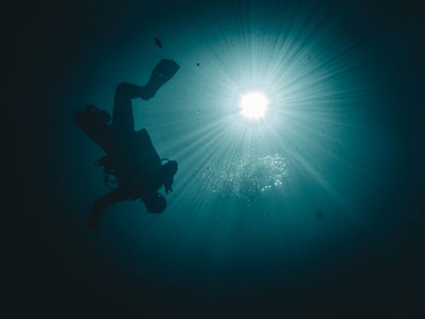 Silhouette of a scuba diver underwater with sunlight streaming down.
