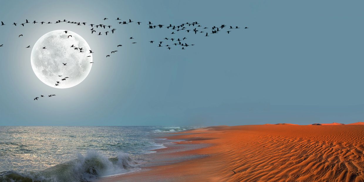 16-дневная автопутешествие по Намибии. Панорама. Omeya Safaris &amp; Tours.