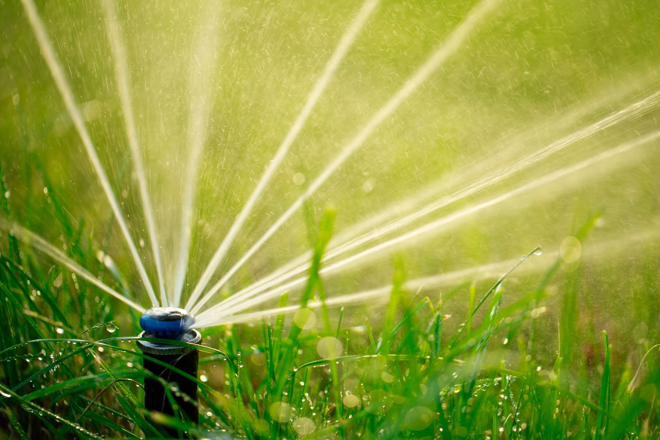 Expert Lawn Sprinkler Installation in Austin Expert Lawn Sprinkler Installation in Austin