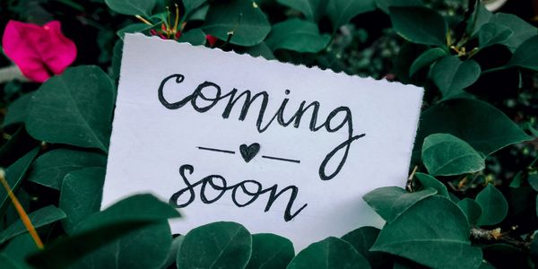 A handwritten note saying 'coming soon' placed among green leaves.