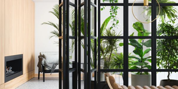 Modern living room with glass wall and abundant green plants.