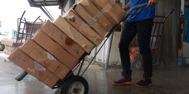 Person moving stacked cardboard boxes on a hand truck in a warehouse.