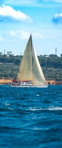 Sailboat glides on blue water near a forested shore under a bright sky.