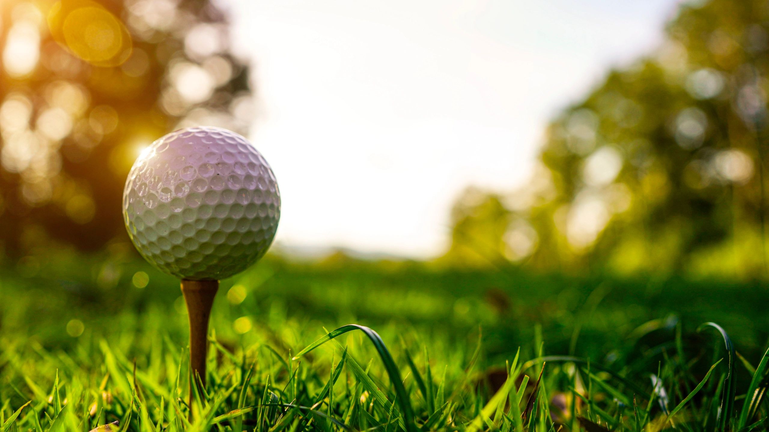 Golf ball on tee with sunlit grass background.