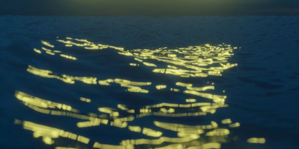 Golden light reflections shimmer on dark water surface at dusk.