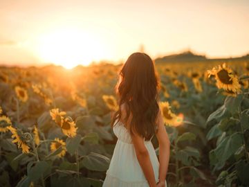 Sunflowers for invisible illness