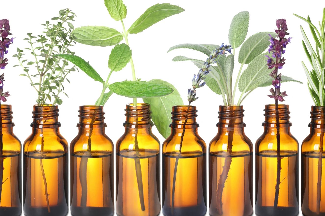 Amber bottles with various fresh herbs arranged in a row.