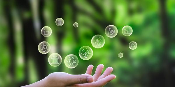 Custom AI advertisement with animated visuals developed by Vision Niche Ads.

