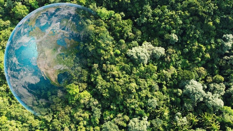 Earth partially covered by dense forest blending into the natural landscape.