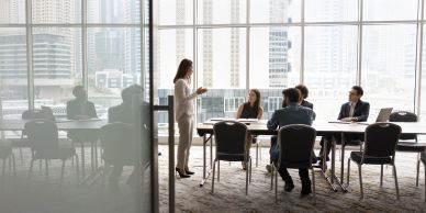 Business meeting with a presenter and seated participants in a modern office.