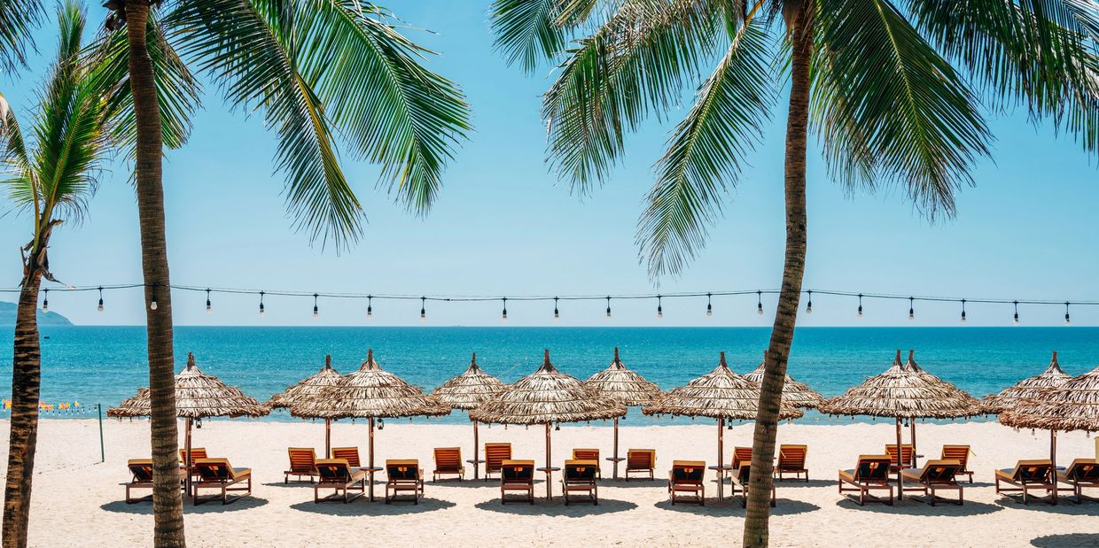 Beach chairs and straw umbrellas by the ocean under palm trees.