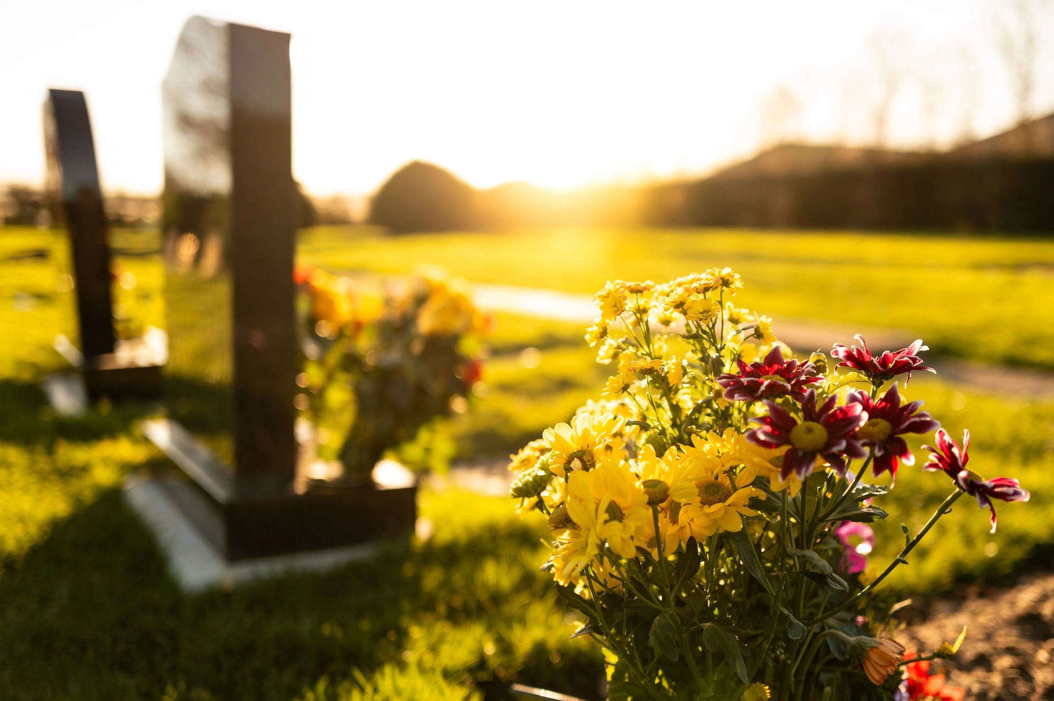 Heavenly touch headstone cleaner gravestone cleaner cleaning headstones