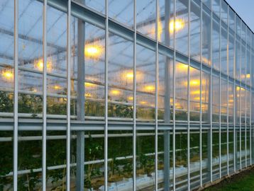 Exterior view of a glass greenhouse with plants and interior lights on.