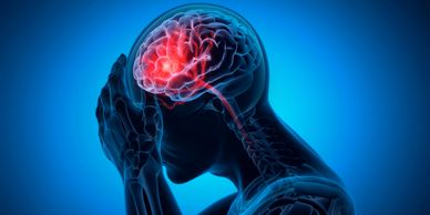 Clip art image of Xray of brain with red brain representing stress