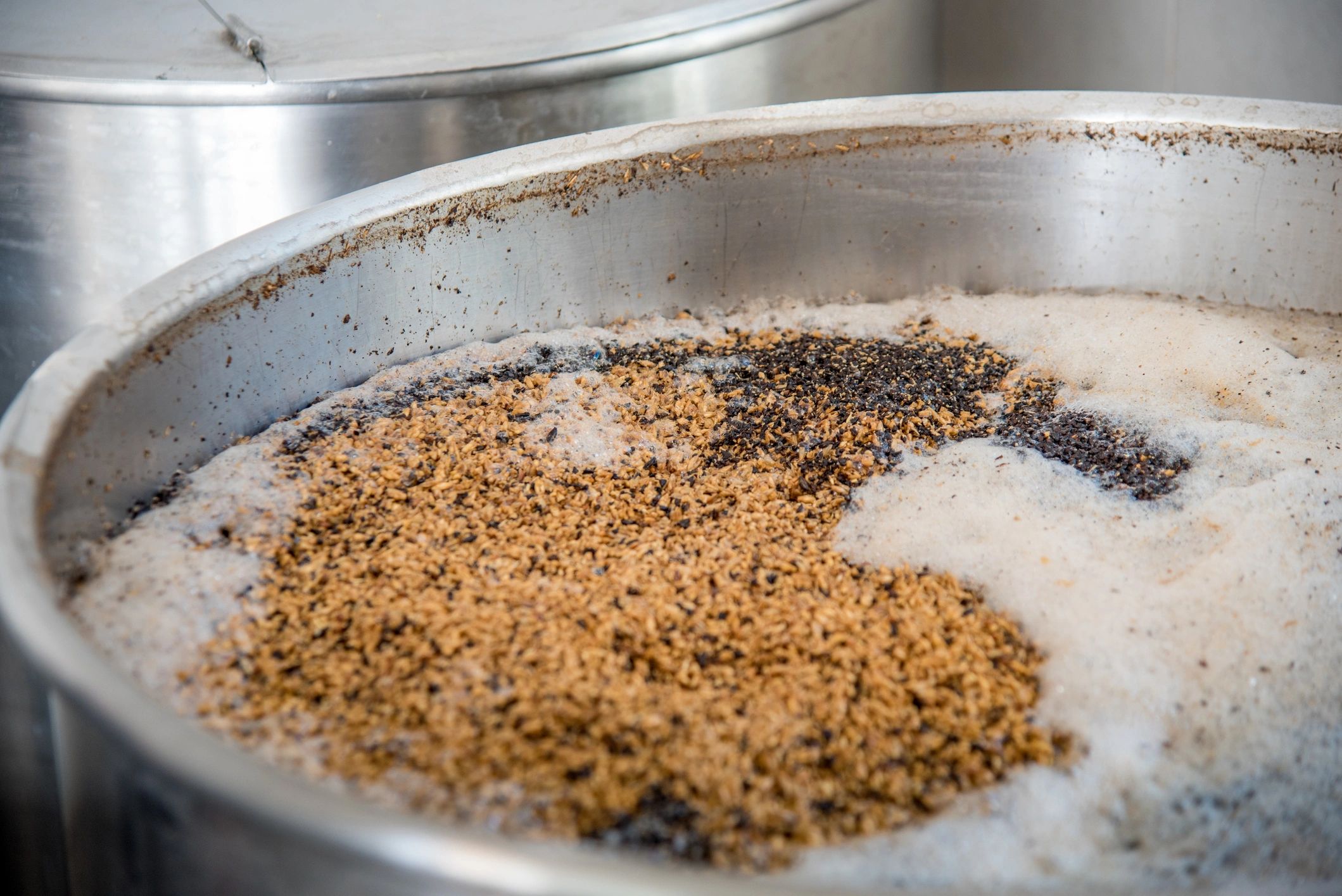 Fermentation process with grains in a large stainless steel container.