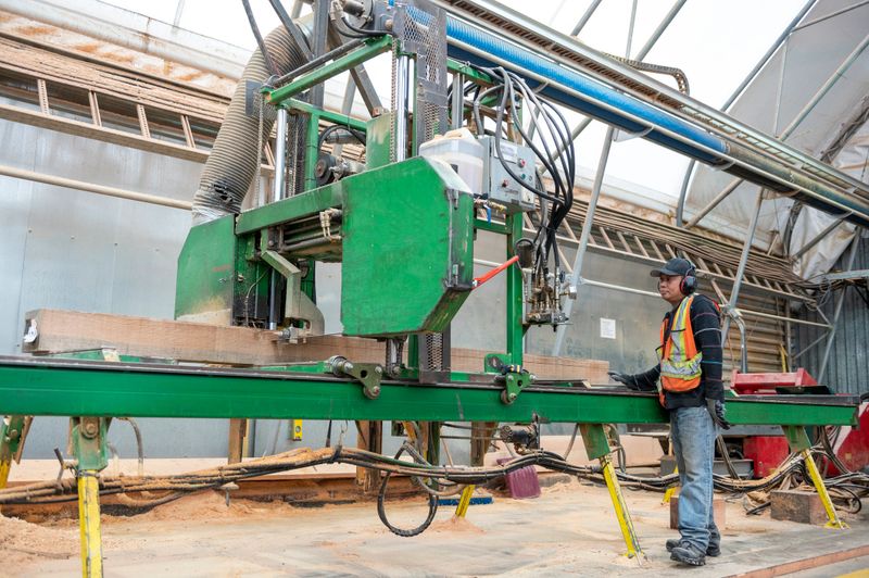 Worker cuts wood lengths with industrial saw in factory