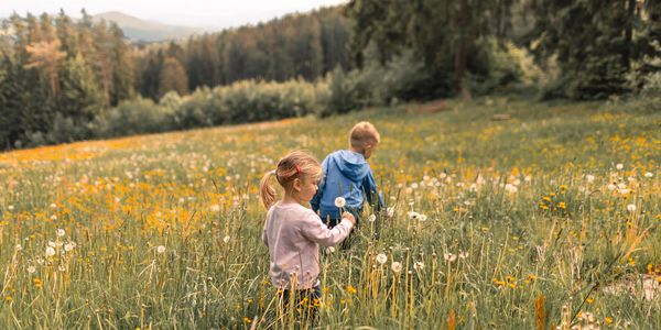 Two children explore a flower-filled meadow on a sunny day.